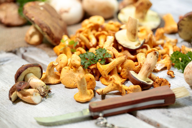 Foto: StefanieB/Fotolia