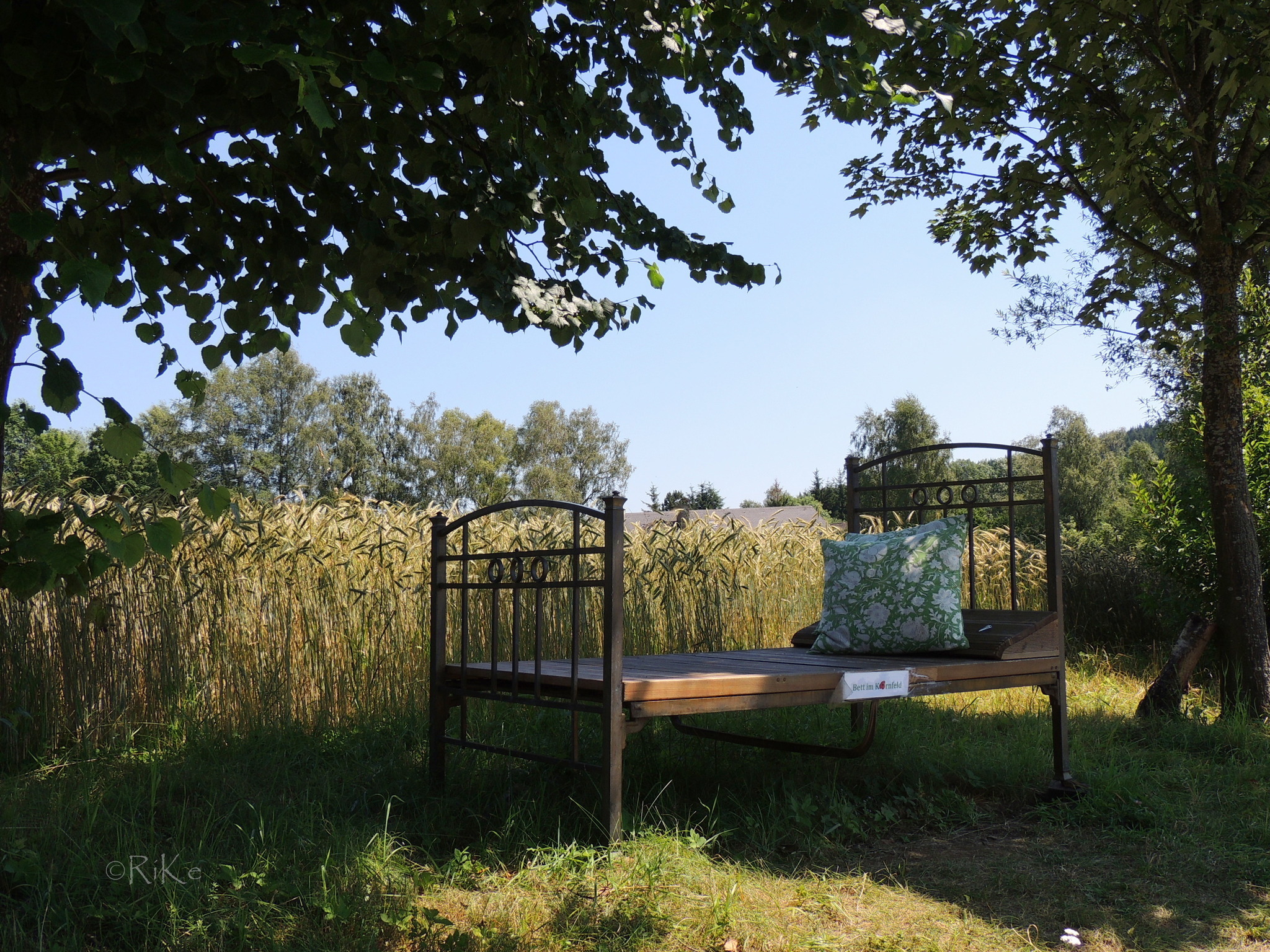 Ein Bett Im Kornfeld Umgedichtet Geburtstag Ein Bett im Kornfeld .. :-) - Neusiedl am See