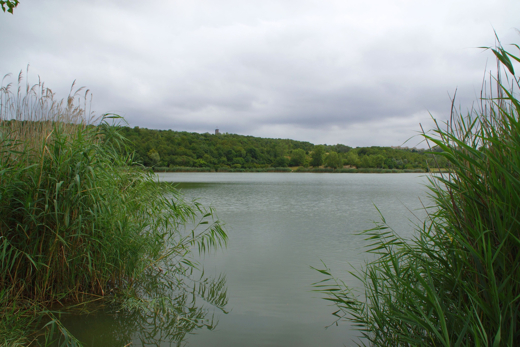 Wienerbergteich Liesing
