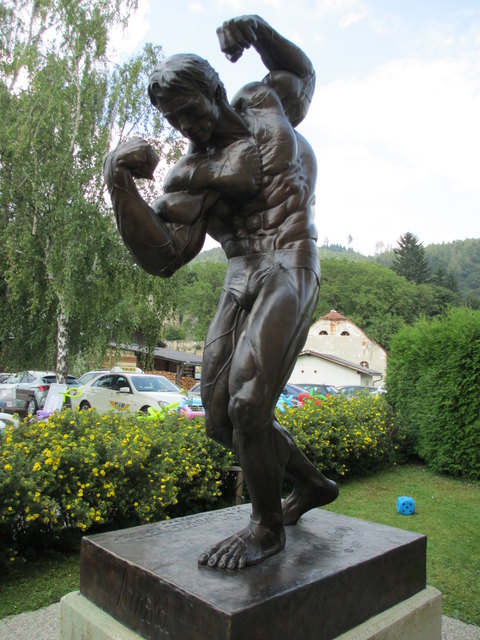 Get Schwarzenegger geburtstag Free HD