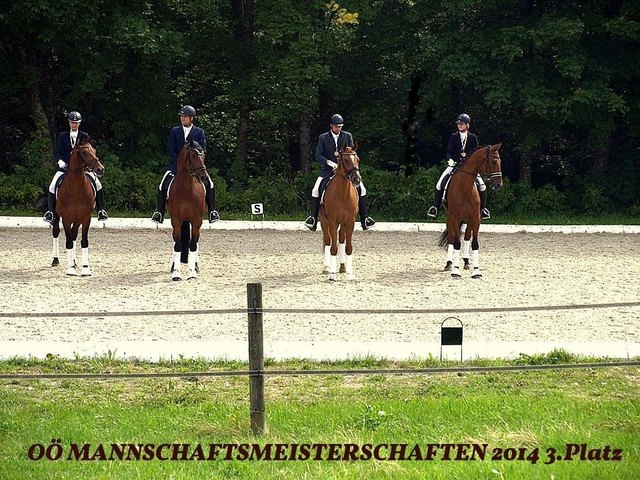 OÖ Mannschaftsmeisterschaften 2014 Aigen i.Mkr. 3.Platz von 13 Mannschaften. Birgit Zieger - Stefan Lehfellner - Werner Hörmannseder - Natalie Labmeier