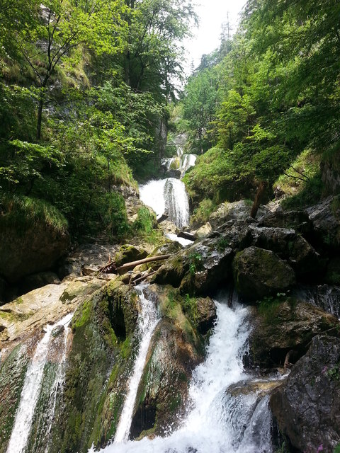 Trefflingfall