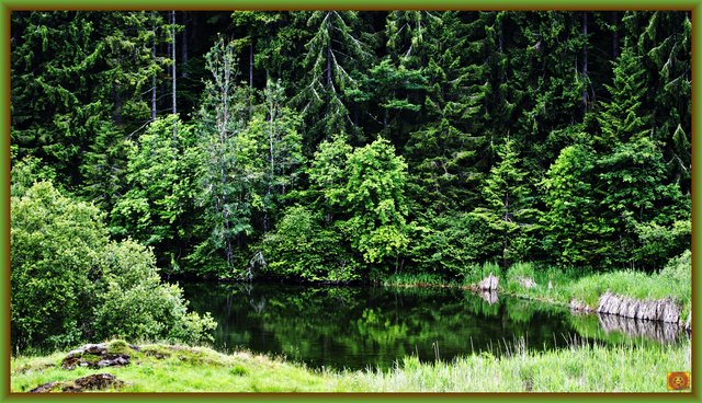 Rundum pure Natur