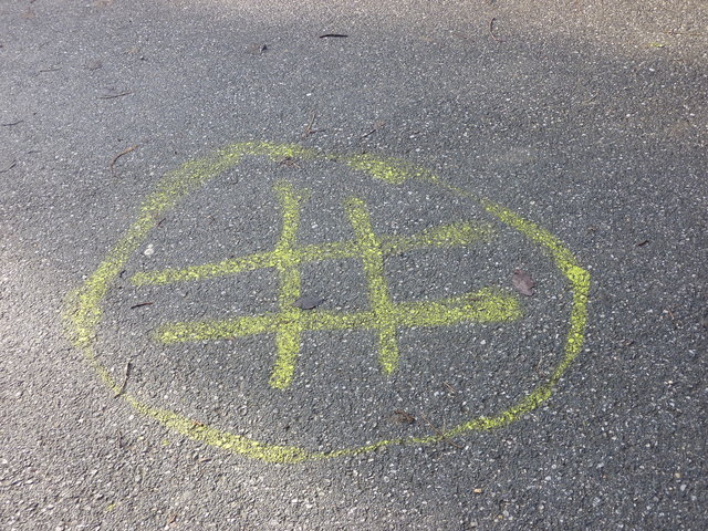 Angeschmiert: Selbst dieser Weg im Währinger Park wurde verunstaltet.