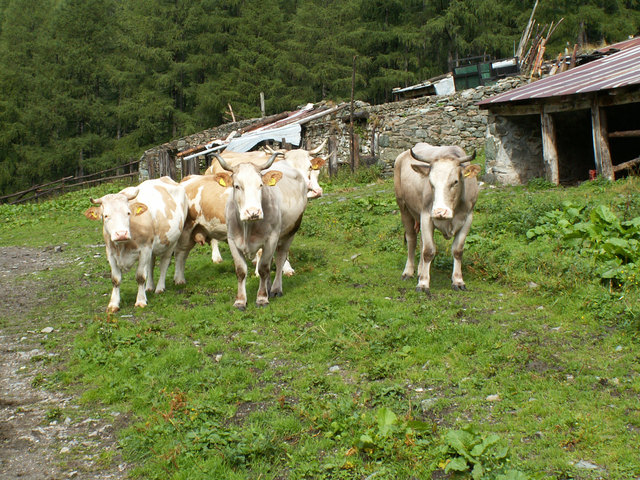 Foto: Doris Winder/Naturfreunde Österreich