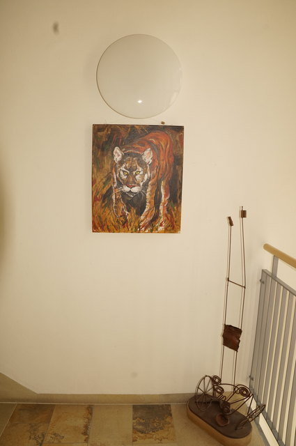 Ausstellung "Die Kraft der Bewegung" im Seekirchner Stadtamt - zu sehen noch bis Ende August.