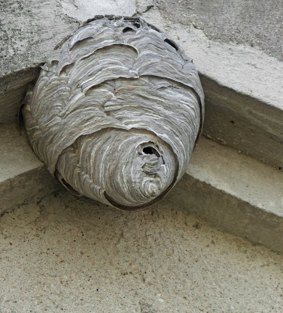 Foto: Foto: Fotolia/gewoldi