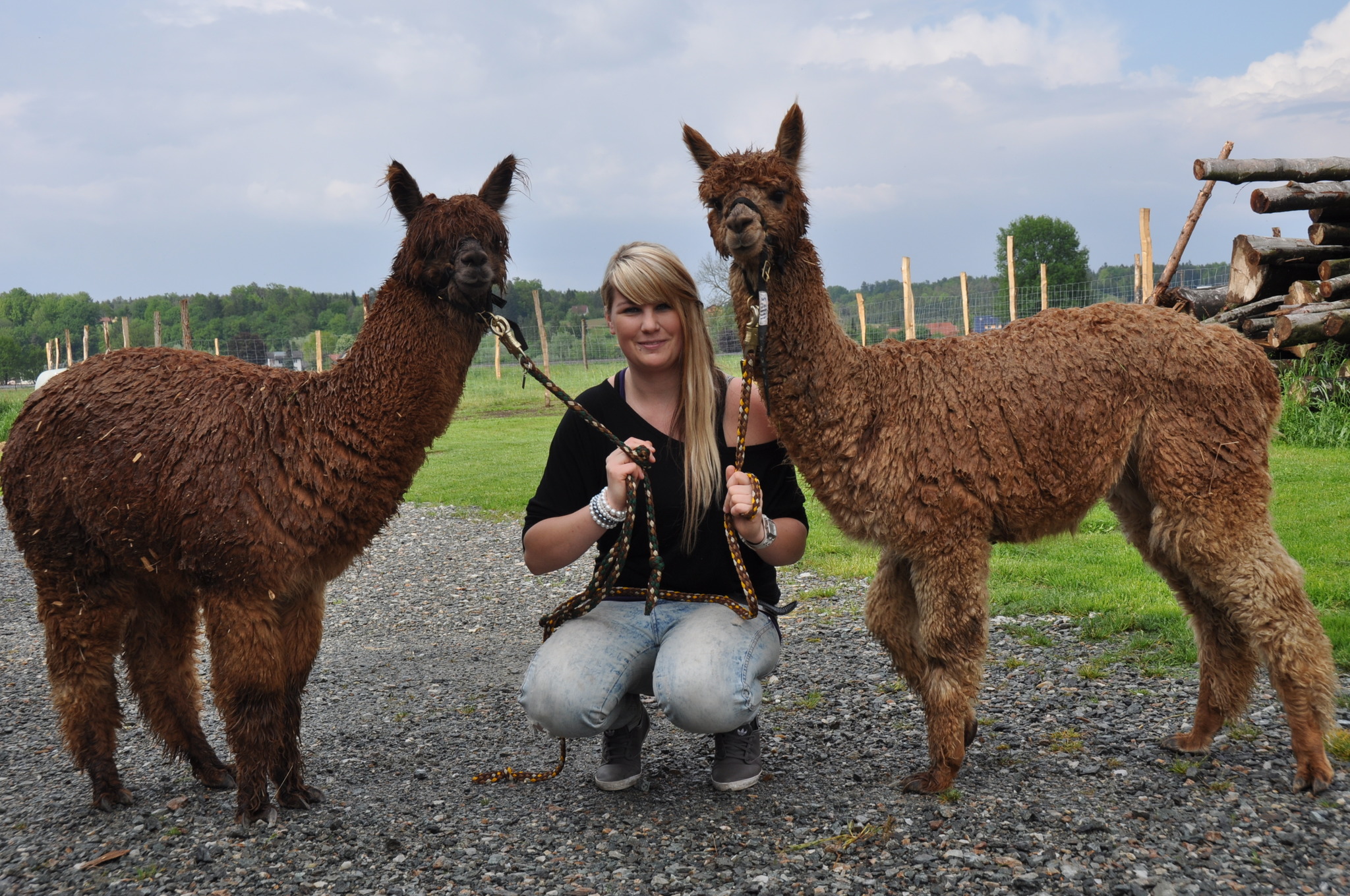 Alpaka Ranch Zelten: Alpaka Ranch Erlebnishof – FDOMF