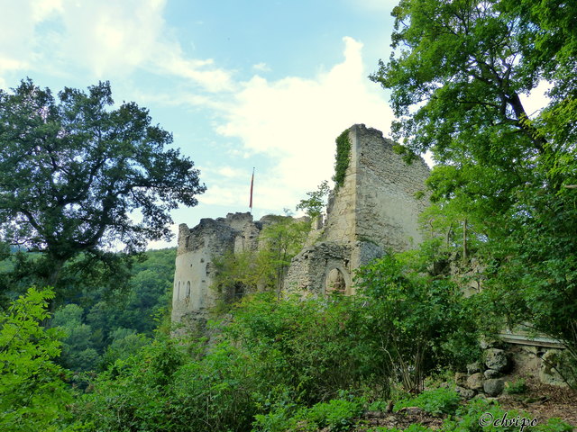 Burgruine Johannstein / Sparbach Ottakring