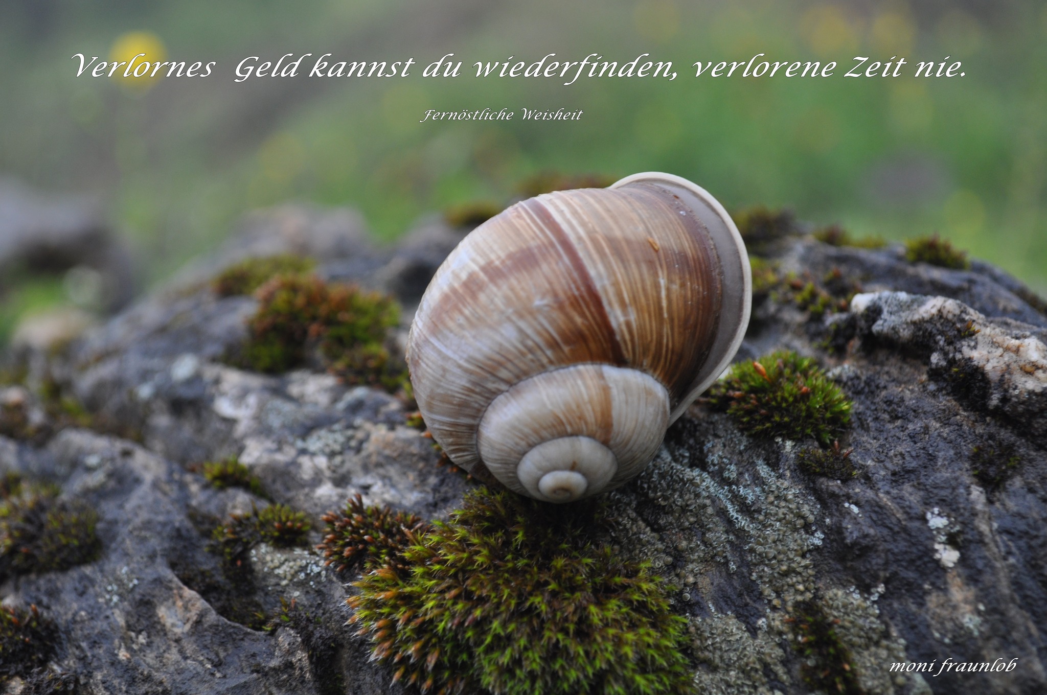 Schneckentempo - Pongau