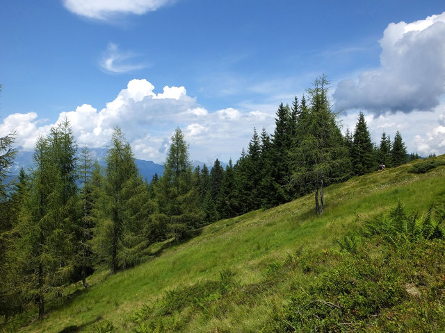 Herrliche Ruhe, man hört nur das Bimmeln der Kuhglocken.