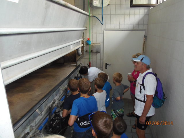 Hier werden die Kühe an die Melkmaschine angeschlossen.