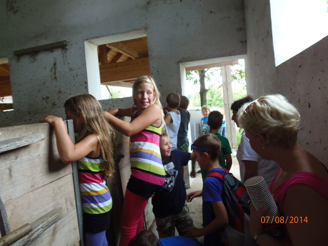 Wo sind die Kühe und wo ist die Milch?