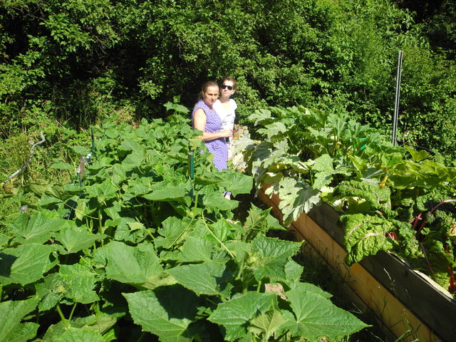 Alles blüht und gedeiht