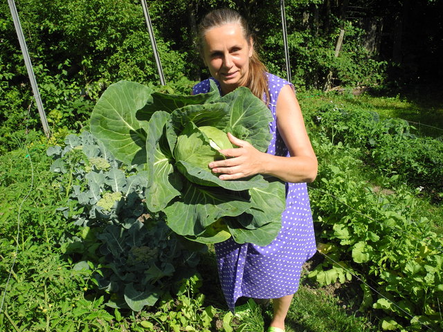 Die Ernte wird auch von Elisabeth Eischer persönlich durchgeführt