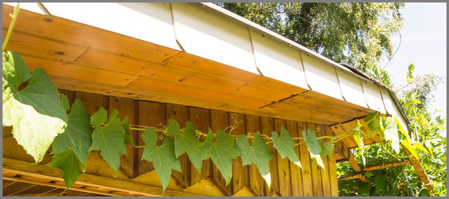 Über mehr als !! 4 Meter !! Länge und sie scheint noch lange nicht am Ziel zu sein!