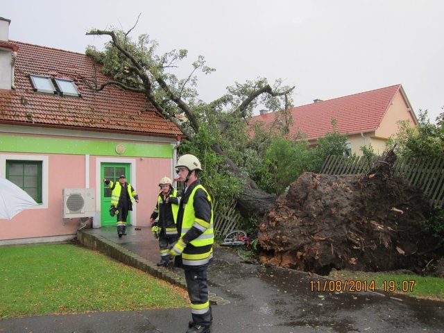Der heftige Sturm ließ die Linde auf das Dach des Kaufhauses stürzen. | Foto: Feuerwehr Königsdorf-Ort