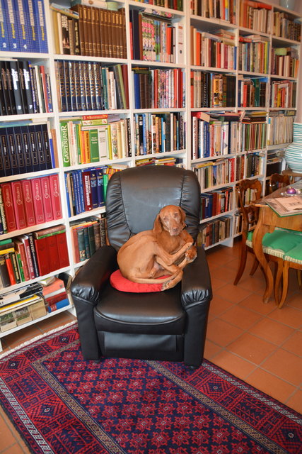 Das Haus im Purgstaller Ortszentrum hat die Pensionistin in jahrelanger Arbeit zu einem richtigen Juwel umgebaut. | Foto: Roland Mayr