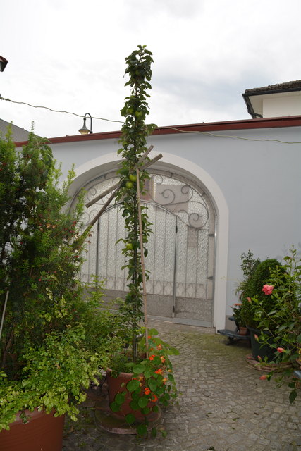 Mit sehr viel Liebe zum Detail hat die Purgstallerin ihre grüne Gartenoase gestaltet. | Foto: Roland Mayr