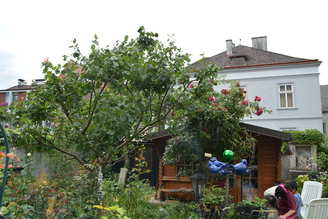 Mit sehr viel Liebe zum Detail hat die Purgstallerin ihre grüne Gartenoase gestaltet. | Foto: Roland Mayr