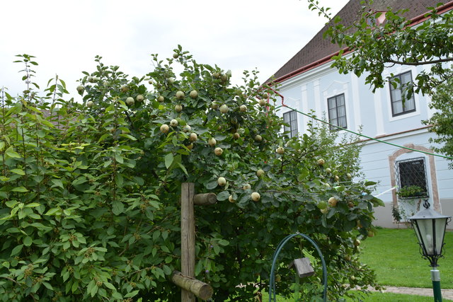 Das Haus im Purgstaller Ortszentrum hat die Pensionistin in jahrelanger Arbeit zu einem richtigen Juwel umgebaut. | Foto: Roland Mayr