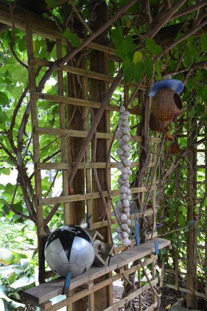 Mit sehr viel Liebe zum Detail hat die Purgstallerin ihre grüne Gartenoase gestaltet. | Foto: Roland Mayr