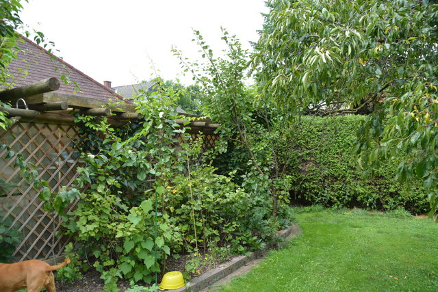 Wilhemine Buxhofer verbringt sehr viel Zeit in ihrem schönen Garten mitten in Purgstall. | Foto: Roland Mayr