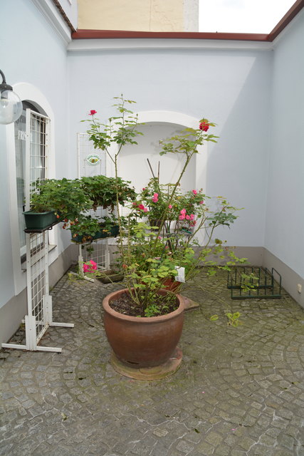 Mit sehr viel Liebe zum Detail hat die Purgstallerin ihre grüne Gartenoase gestaltet. | Foto: Roland Mayr