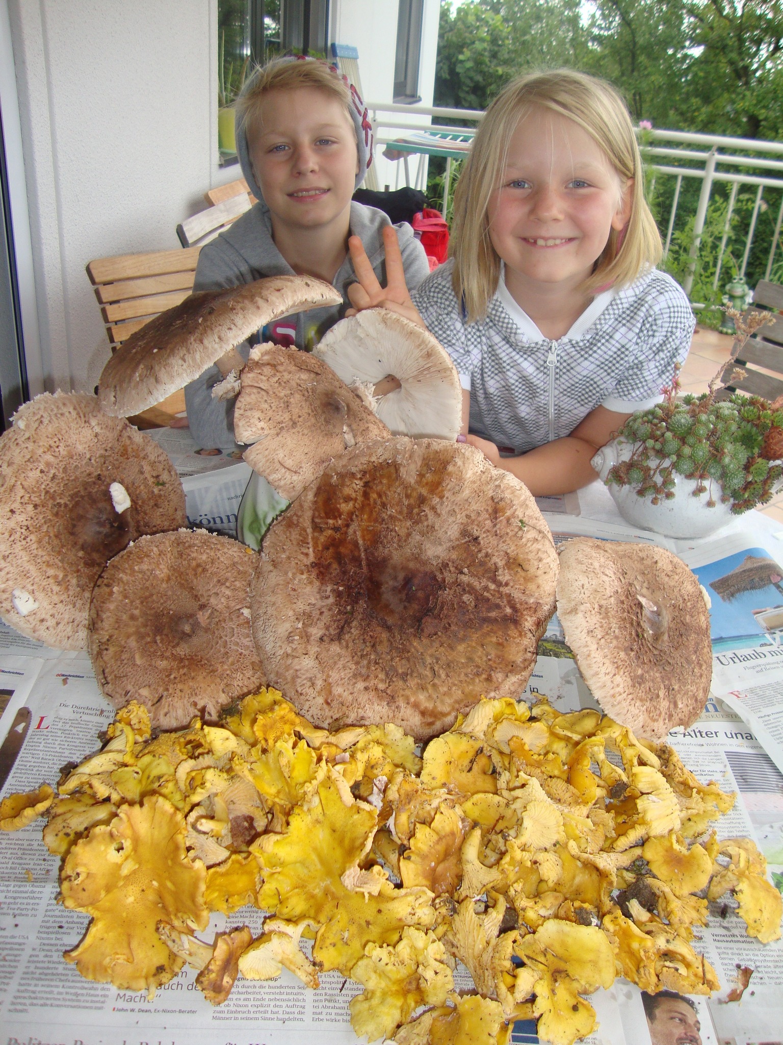 Hochsaison Fur Pilzesammler Im Wald Urfahr Umgebung