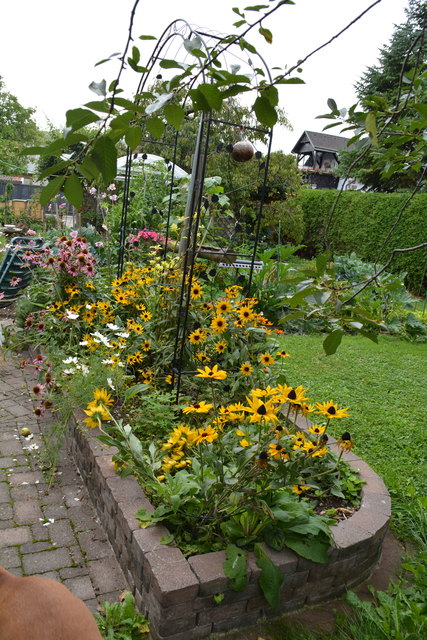 Die Blütenpracht in Wilhemine Buxhofers Garten ist eine wahre Augenweide. | Foto: Roland Mayr