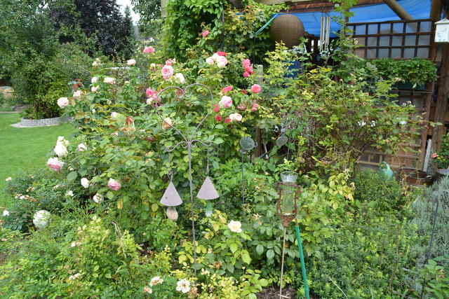 Mit sehr viel Liebe zum Detail hat die Purgstallerin ihre grüne Gartenoase gestaltet. | Foto: Roland Mayr