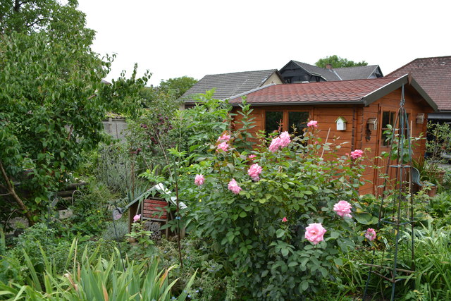 Die Blütenpracht in Wilhemine Buxhofers Garten ist eine wahre Augenweide. | Foto: Roland Mayr