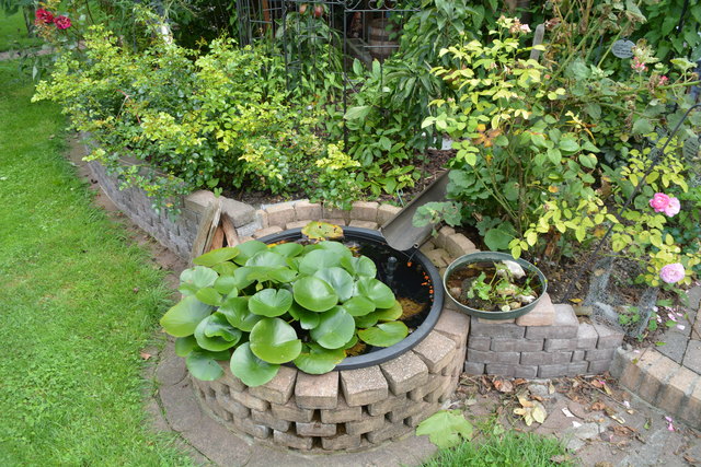 Mit sehr viel Liebe zum Detail hat die Purgstallerin ihre grüne Gartenoase gestaltet. | Foto: Roland Mayr