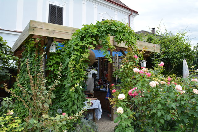 Mit sehr viel Liebe zum Detail hat die Purgstallerin ihre grüne Gartenoase gestaltet. | Foto: Roland Mayr