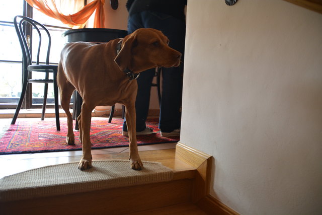 Das Haus im Purgstaller Ortszentrum hat die Pensionistin in jahrelanger Arbeit zu einem richtigen Juwel umgebaut. | Foto: Roland Mayr