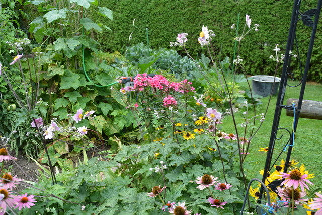 Die Blütenpracht in Wilhemine Buxhofers Garten ist eine wahre Augenweide. | Foto: Roland Mayr