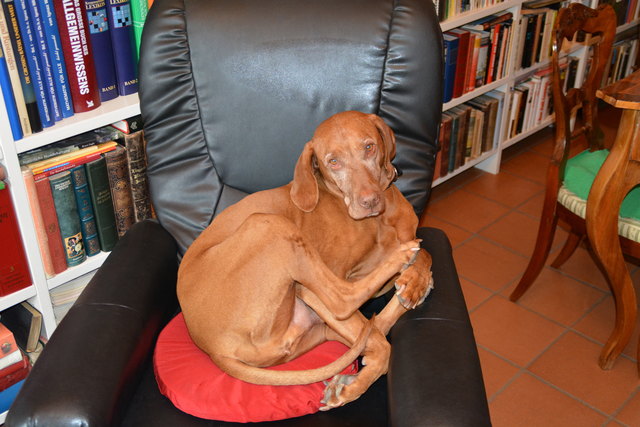 Das Haus im Purgstaller Ortszentrum hat die Pensionistin in jahrelanger Arbeit zu einem richtigen Juwel umgebaut. | Foto: Roland Mayr