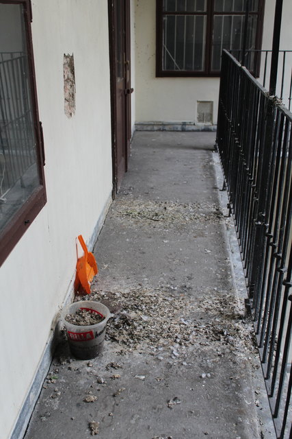 Taubenkot wohin man sieht ...