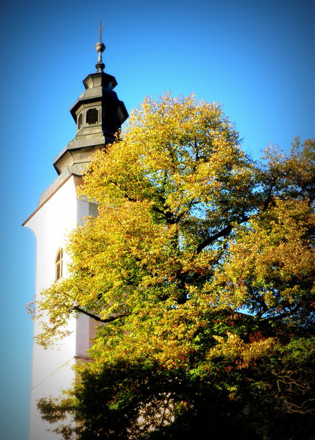 Manchmal hört man schon die Leut sagen: "Heuer wird der Herbst früher kommen als sonst". Wir werden sehen. DIESES Bild hab ich im vorigen Jahr am 20. Oktober in Kindberg aufgenommen.