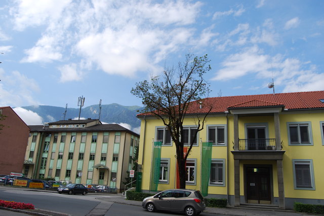Besonders in der Spittaler Tirolerstraße in unmittelbarer Nähe der Masten auf dem Kelag-Gebäude, ist das Baumsterben zu sehen