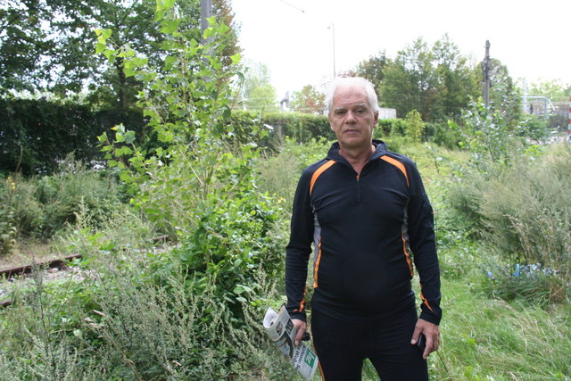 Die Stauden wachsen bereits mannshoch: Manfred Fischer wünscht sich Gemeinschaftsgärten statt dem Wildwuchs.