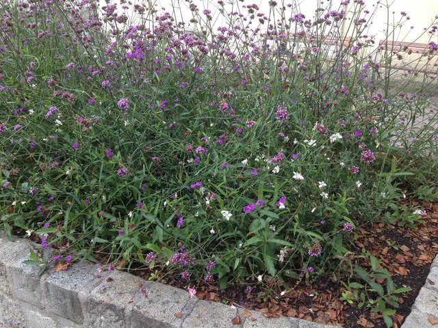 Wiedner Hauptstraße