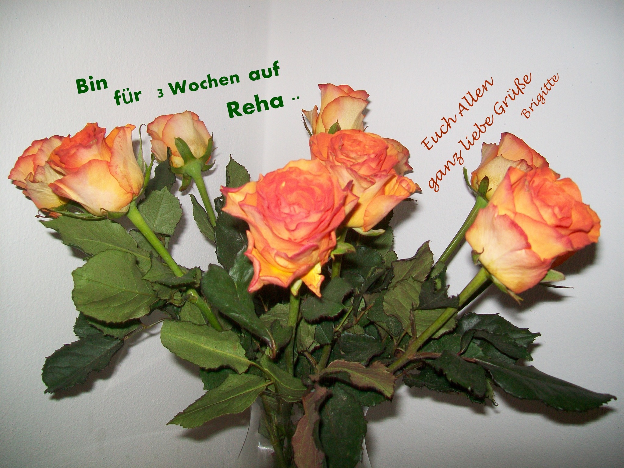 Ich Freue Mich Wenn Wir Uns Wiedersehen www.meinbezirk.at