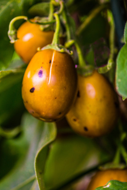 Schön die lila Flecken, so sollte ich im Ganzen aussehen!