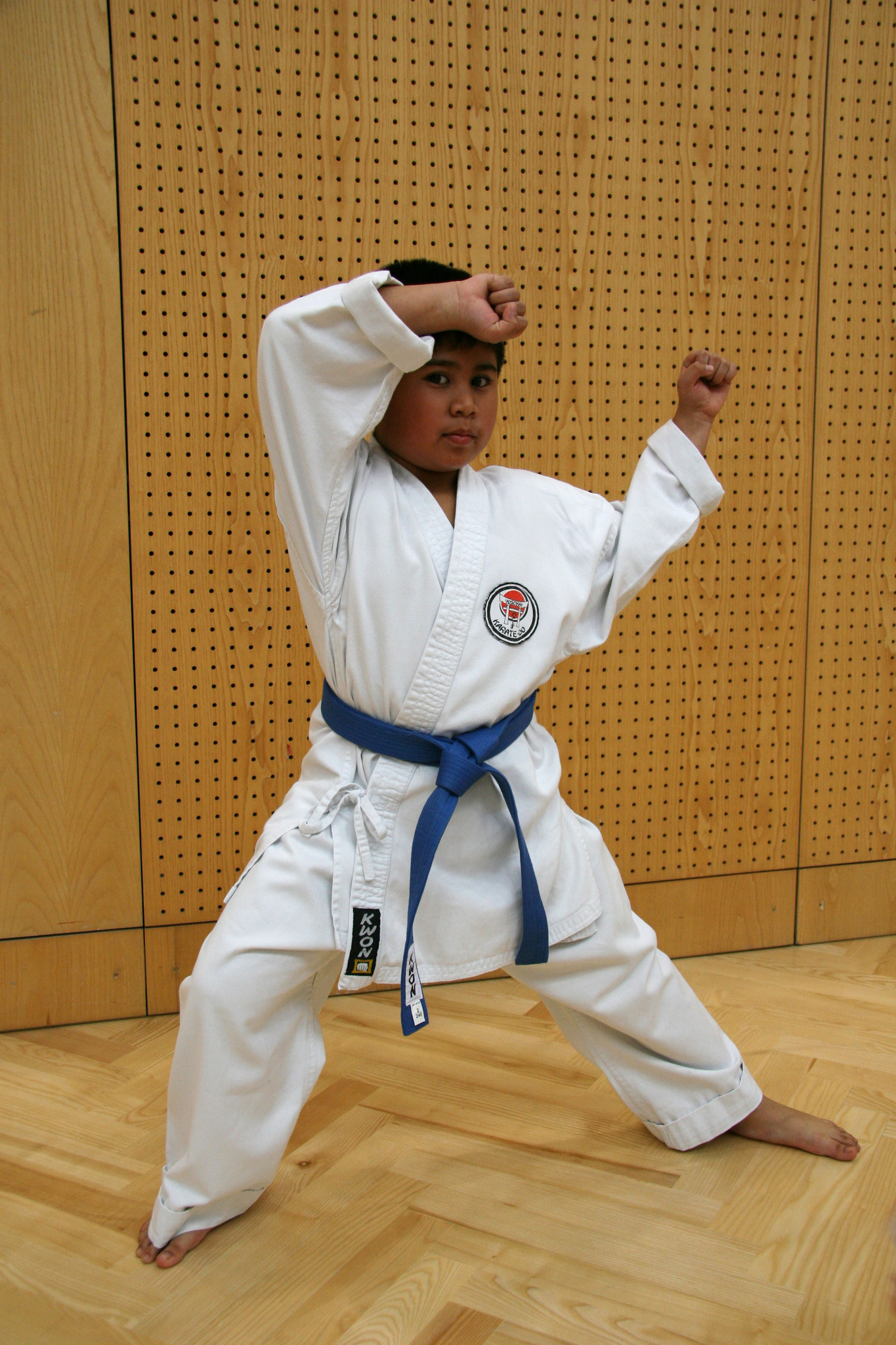 Anfängerkurs Karate Lungau