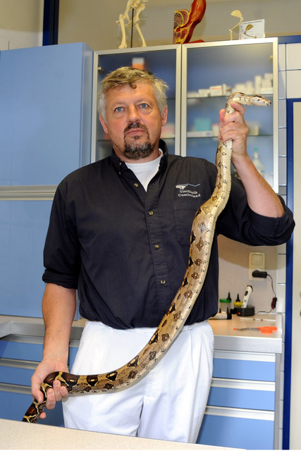 Foto: Klemens Fellner