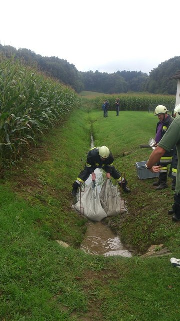 Zehn Mann der Feuerwehr waren rasch zur Stelle. | Foto: Feuerwehr Welten