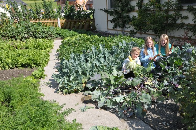 Alexander, Isabella und Jennifer Penn in ihrem prämierten Gemüsegarten. | Foto: J. Reingruber