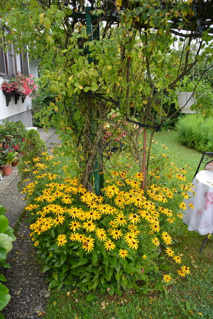 Ein wahres Blütenmeer verzaubert die Sinne, wenn man im Garten der Familie verweilt.