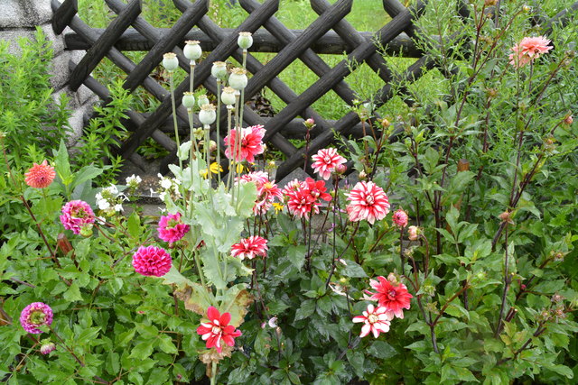 Ein wahres Blütenmeer verzaubert die Sinne, wenn man im Garten der Familie verweilt.